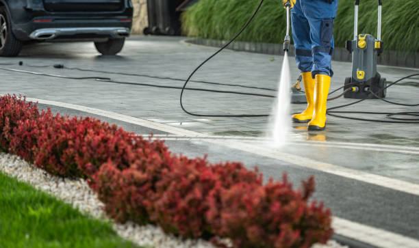 Best Roof Washing  in Dumont, NJ